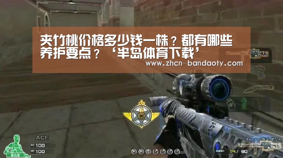 半岛体育线上观看
