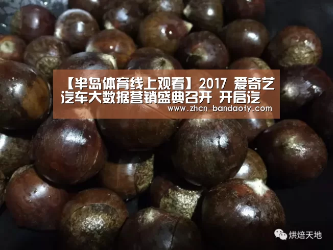 【半岛体育线上观看】2017 爱奇艺汽车