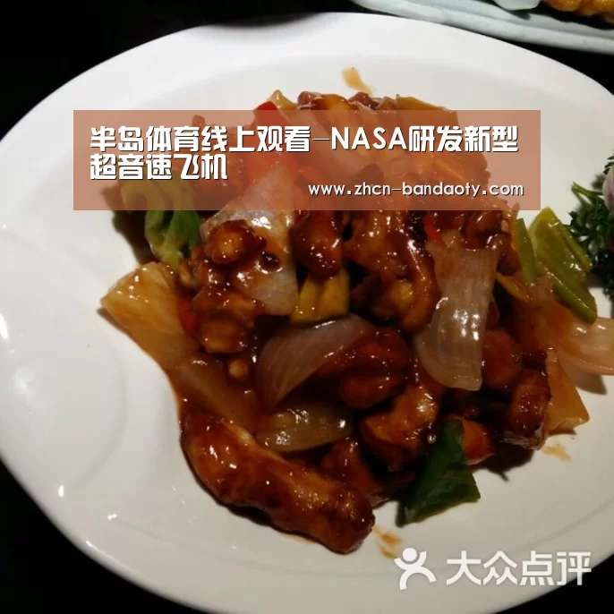 半岛体育体育网