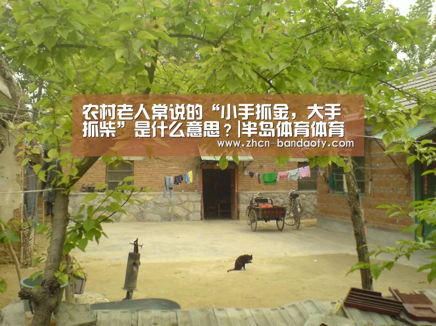 半岛体育下载