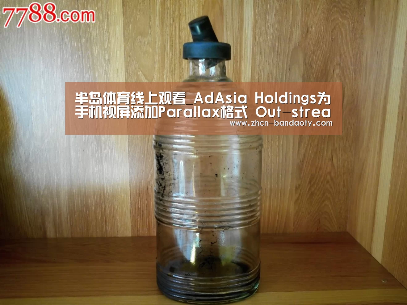 半岛体育体育网