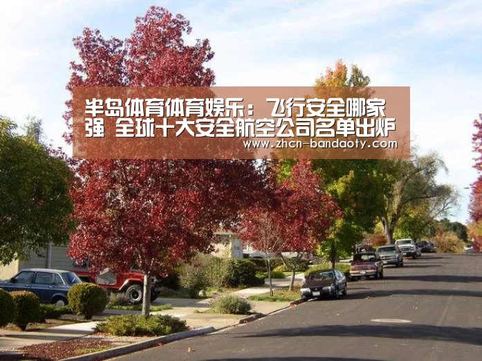 半岛体育体育娱乐:飞行安全哪家强 全球十大安全航空公司名单出炉(图1) 半岛体育体育网