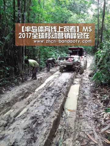 半岛体育体育娱乐