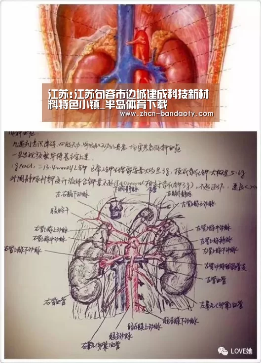 半岛体育线上观看
