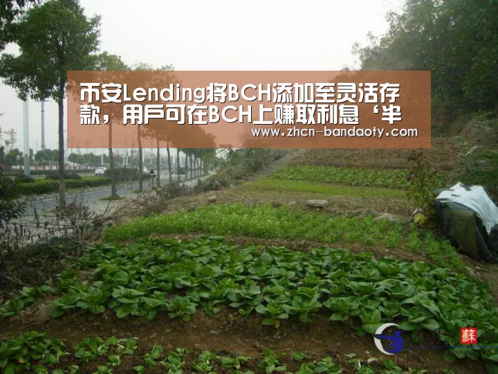币安Lending将BCH添加至灵活存款,用户可在BCH上赚取利息‘半岛体育体育娱乐’(图2) 半岛体育下载