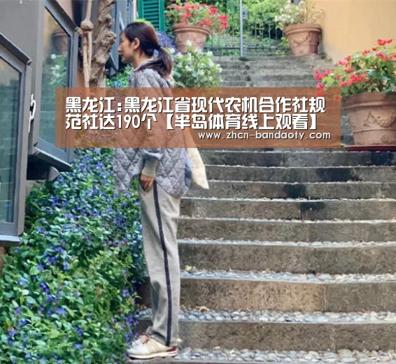 黑龙江:黑龙江省现代农机合作社规范社达190个【半岛体育线上观看】(图3) 半岛体育体育娱乐