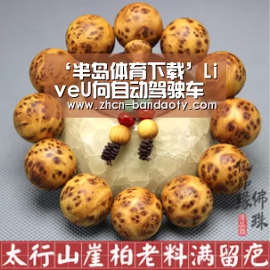 ‘半岛体育下载’LiveU向自动驾驶车辆提供远程遥控技术延迟时间缩短至100毫秒(图2) 半岛体育线上观看