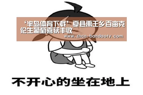 半岛体育体育网