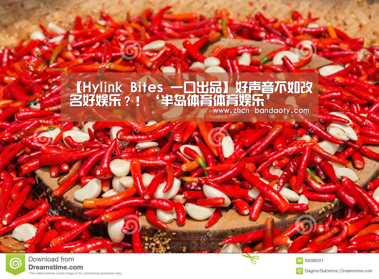 【Hylink Bites 一口出品】好声音不如改名好娱乐?!‘半岛体育体育娱乐’(图3) 半岛体育体育网