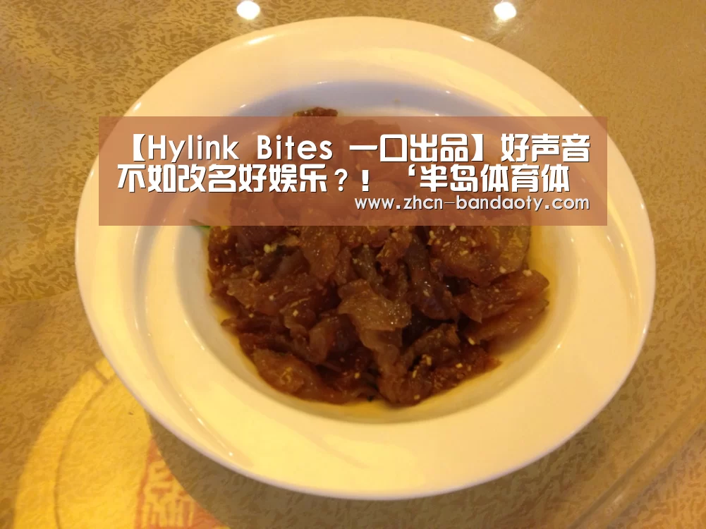 【Hylink Bites 一口出品】好声音不如改名好娱乐?!‘半岛体育体育娱乐’(图2) 半岛体育下载