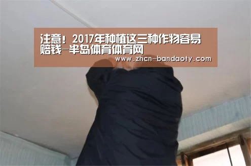 半岛体育体育娱乐