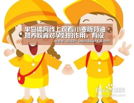 半岛体育体育网